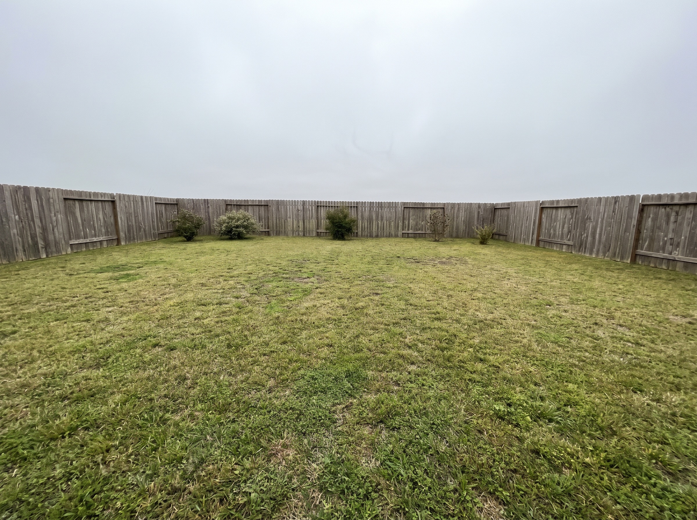 Large empty backyard before an accessory dwelling unit was built